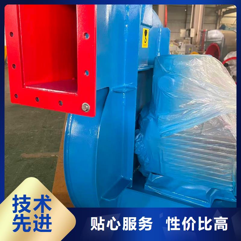 9-382D罗茨鼓风机口碑好实力强(有保障!2025已更新)二次风机