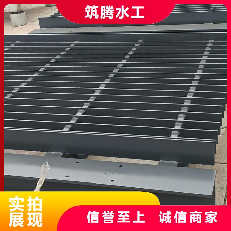 清污机回转式清污机用心做好细节