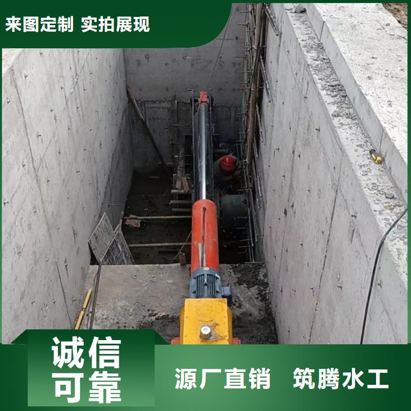 翻板闸门合页钢坝专业设计