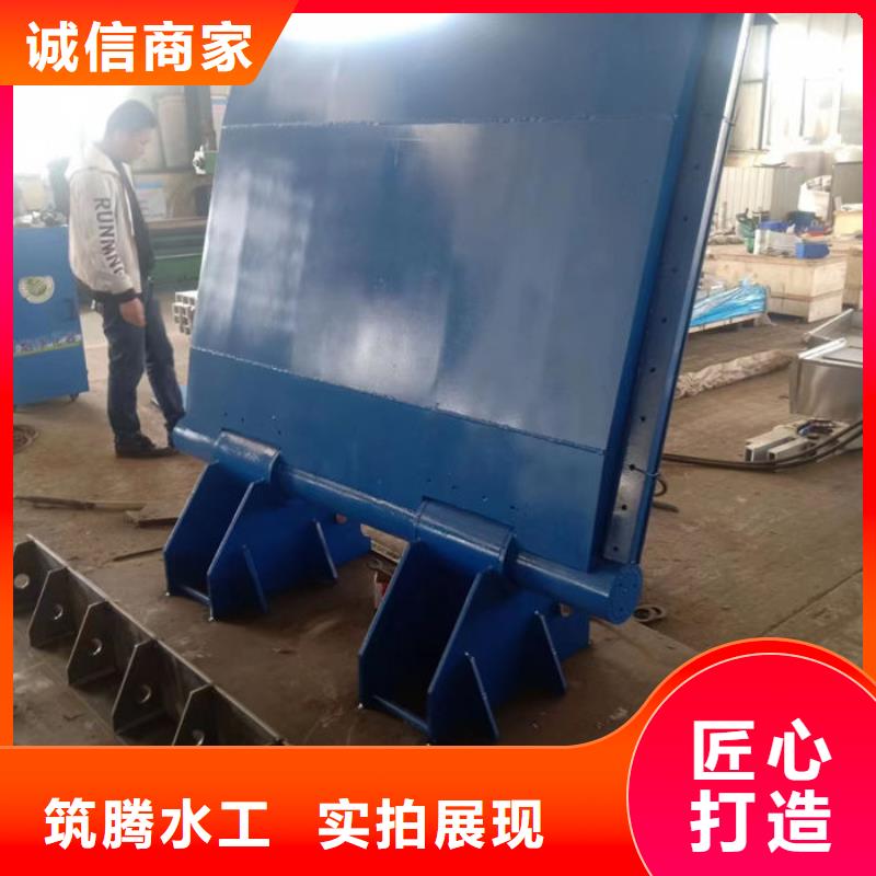 翻板闸门合页钢坝专业设计