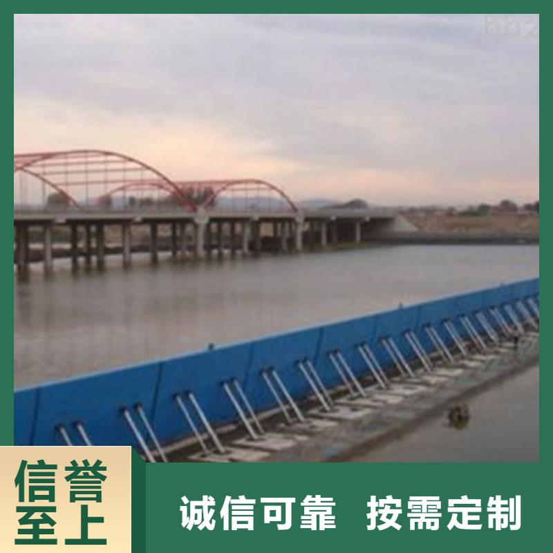 翻板闸门合页钢坝专业设计