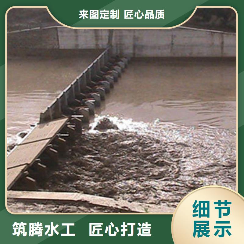 翻板闸门合页钢坝专业设计