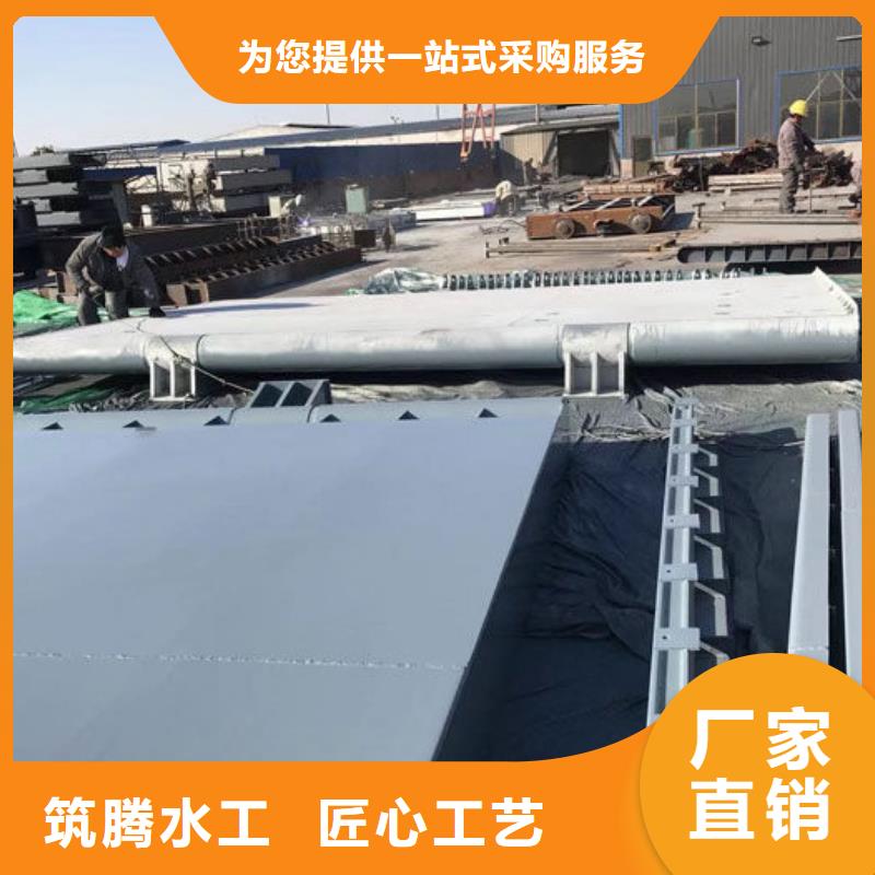 翻板闸门产地直供