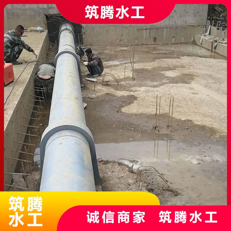 翻板闸门合页钢坝专业设计