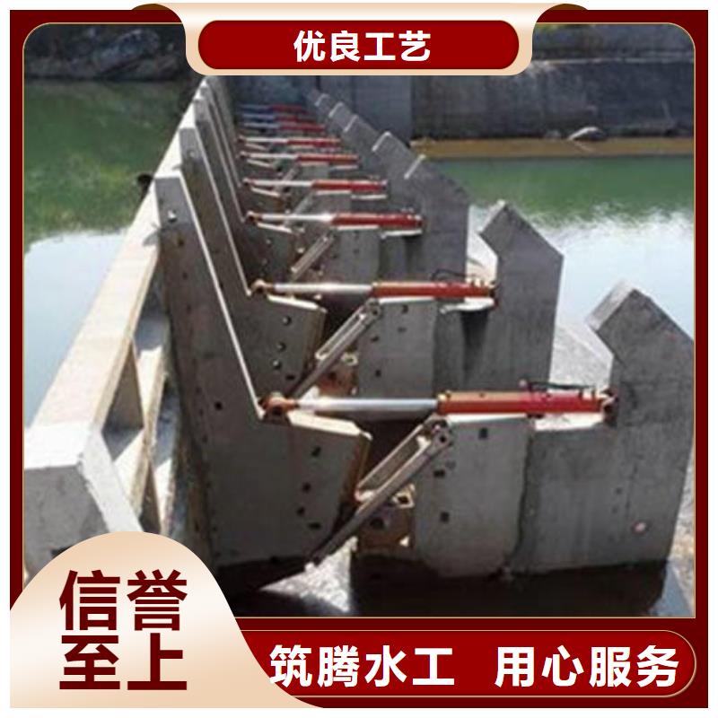 翻板闸门合页钢坝专业设计