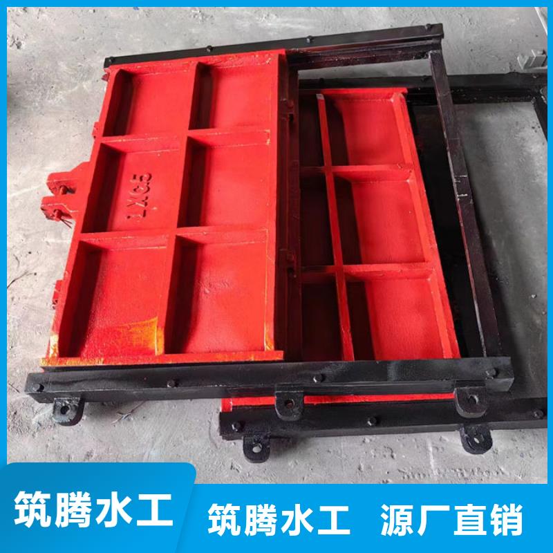 铸铁闸门铸铁镶铜闸门支持货到付清