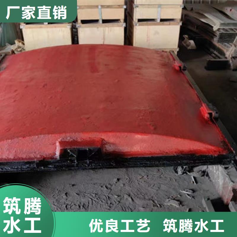 双向镶铜铸铁闸门诚信为本