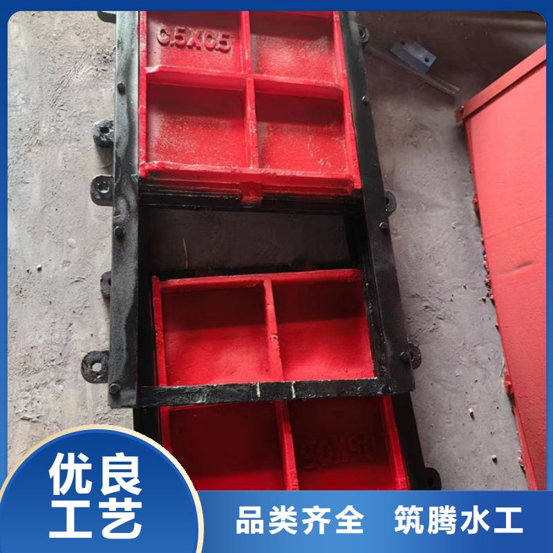 平板铸铁闸门真诚合作