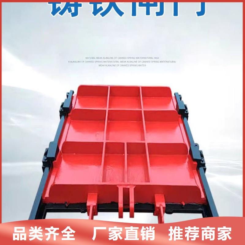铸铁闸门铸铁镶铜闸门匠心工艺