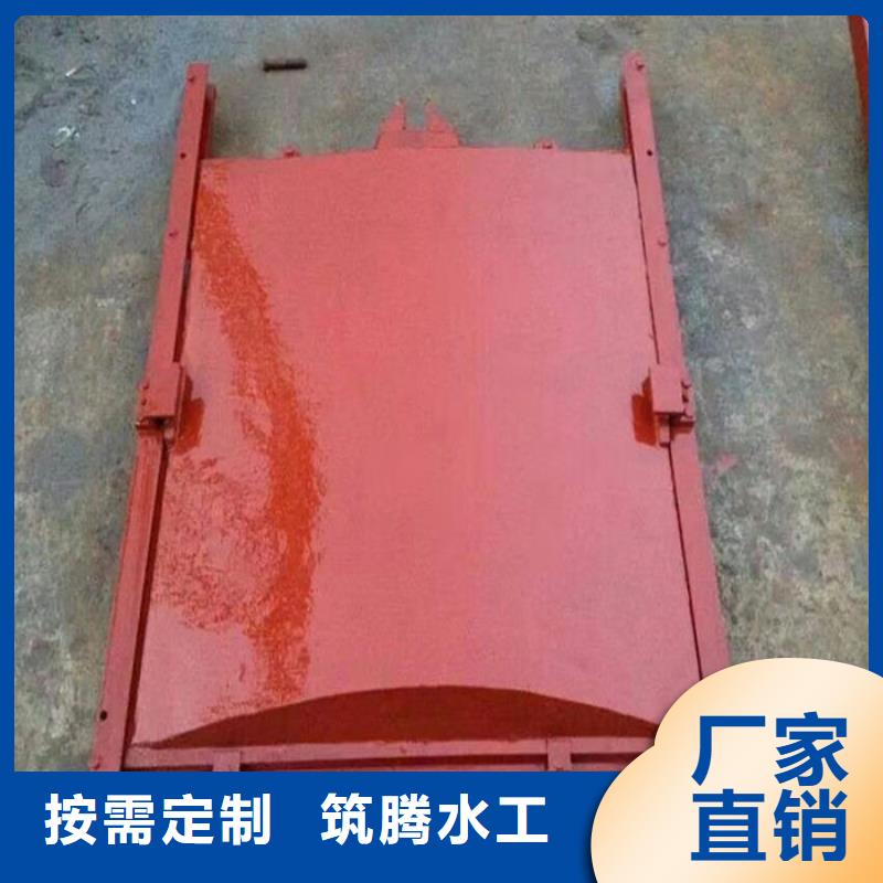 双向镶铜铸铁闸门诚信为本