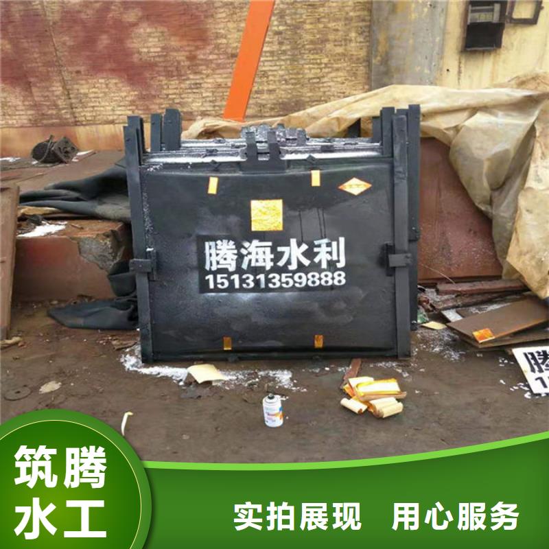 铸铁闸门机门一体闸门多年行业积累