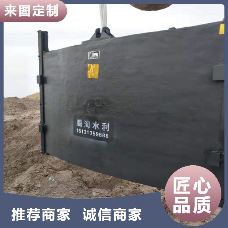 铸铁闸门铸铁镶铜闸门匠心工艺