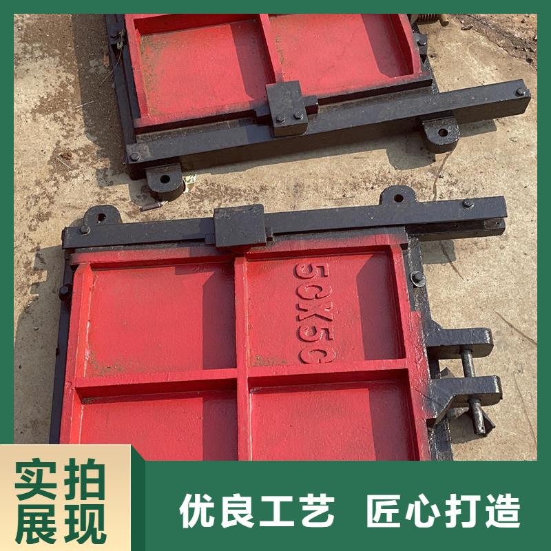 双向镶铜铸铁闸门诚信为本