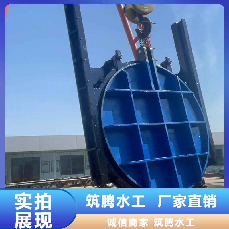 铸铁闸门机门一体闸门多年行业积累