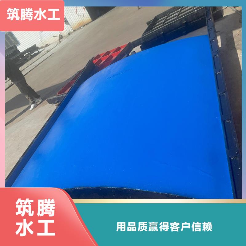 铸铁闸门铸铁镶铜闸门支持货到付清