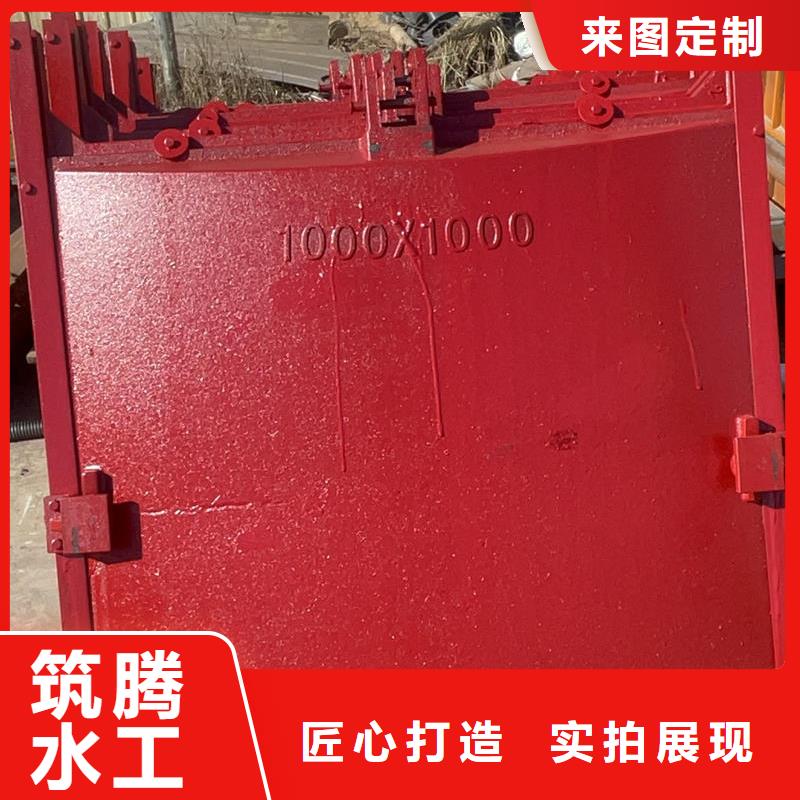 铸铁闸门铸铁镶铜闸门支持货到付清