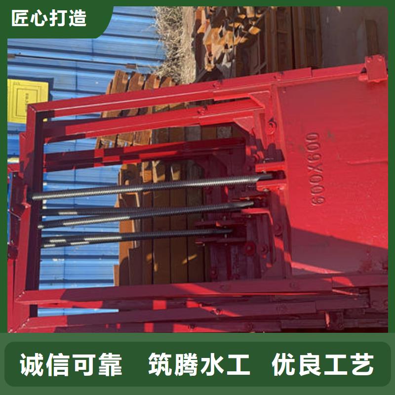 双向镶铜铸铁闸门诚信为本