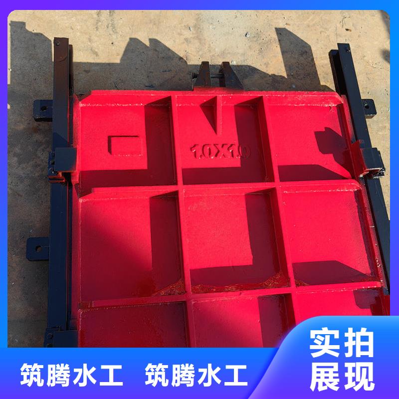 铸铁闸门机门一体闸门多年行业积累