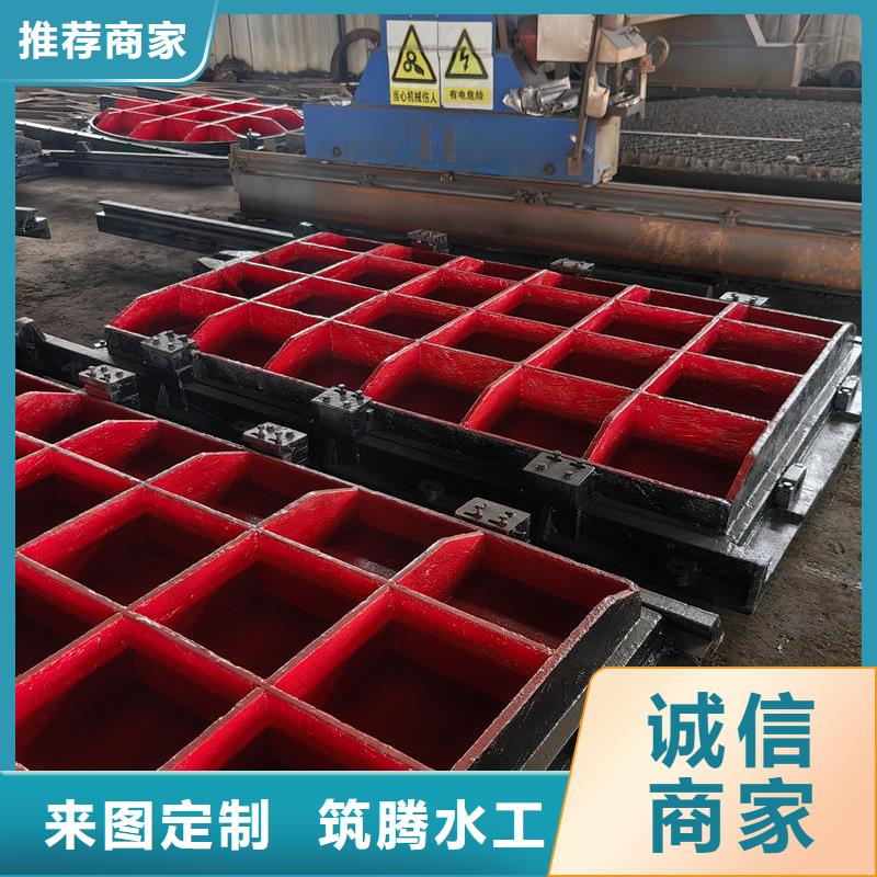 双向镶铜铸铁闸门诚信为本