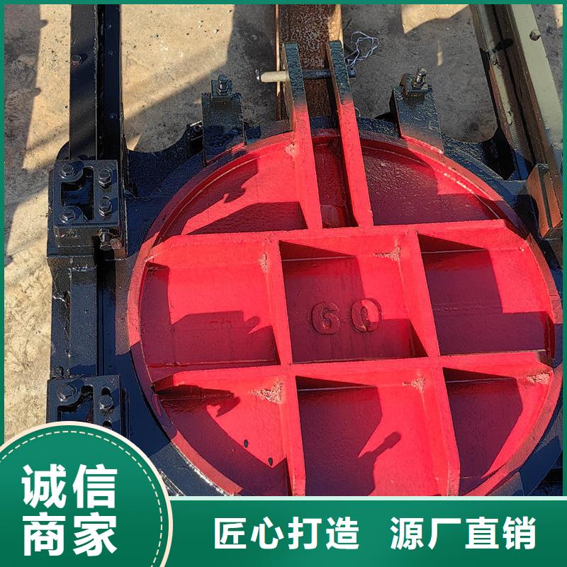 铸铁闸门机门一体闸门多年行业积累