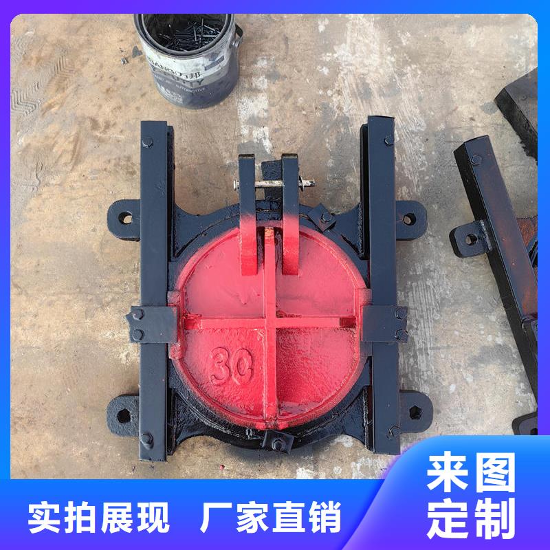 铸铁闸门机门一体闸门多年行业积累