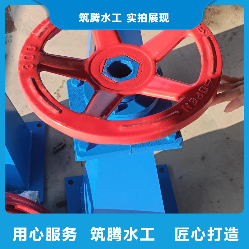 螺杆启闭机摇摆启闭机送货上门