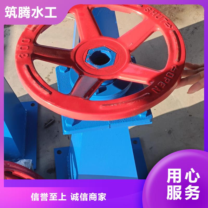 螺杆启闭机单吊点启闭机工厂认证