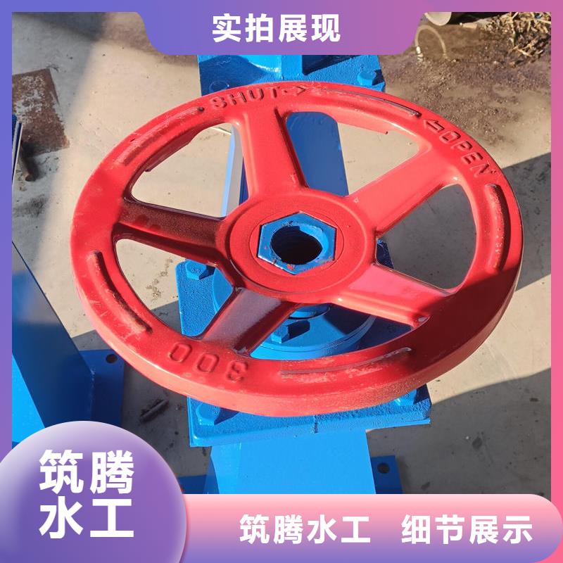 螺杆启闭机摇摆启闭机送货上门