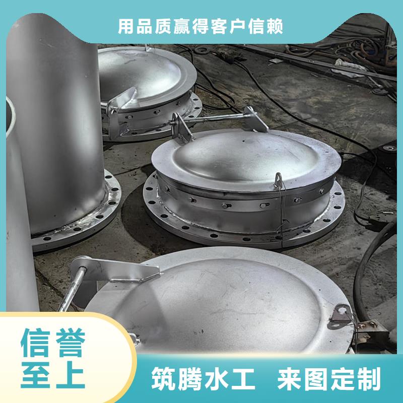 拍门HDPE聚乙烯拍门款式新颖