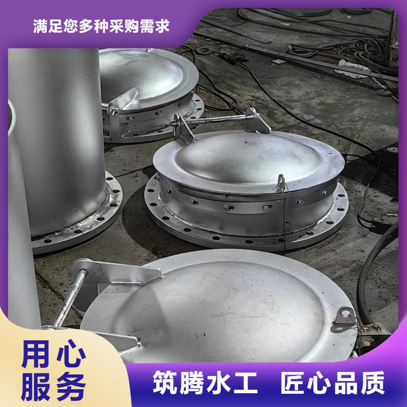 拍门复合材料拍门源厂直接供货